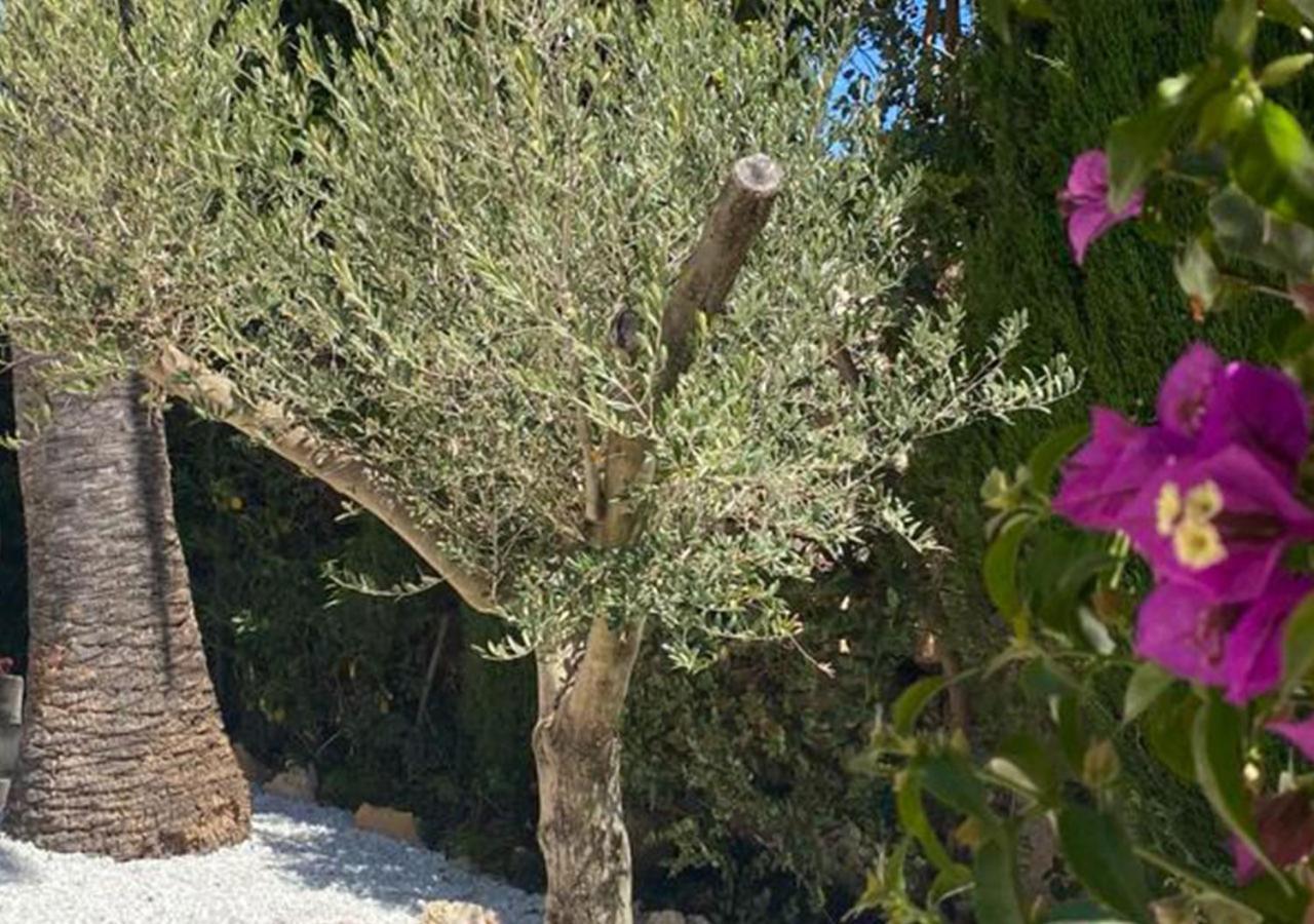 Holiday Villa מוריירה מראה חיצוני תמונה