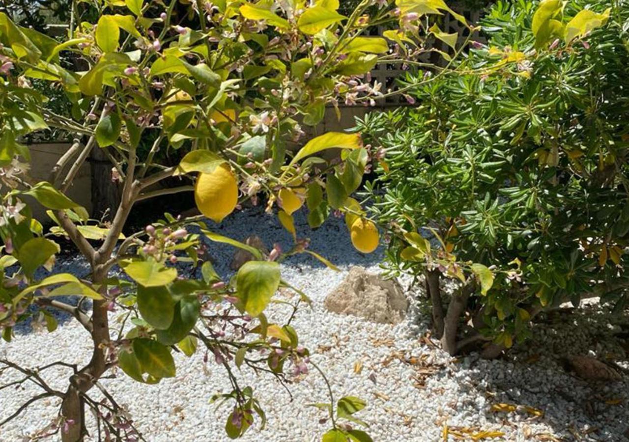 Holiday Villa מוריירה מראה חיצוני תמונה
